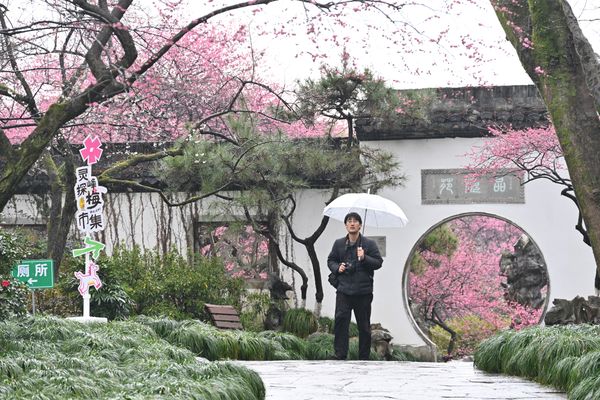 圆门内外